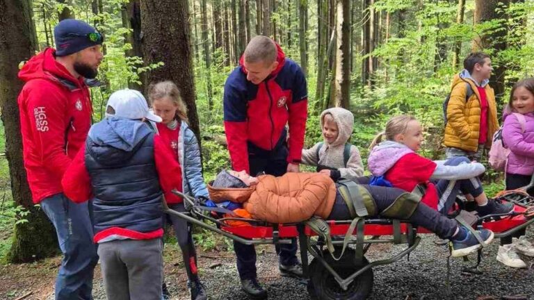Obuke, licenciranja i zajednički projekti